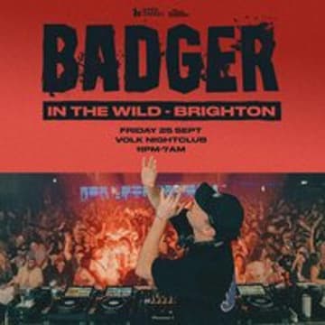 Badger - In the Wild - Brighton