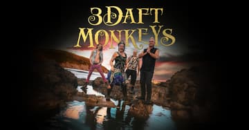 3 Daft Monkeys