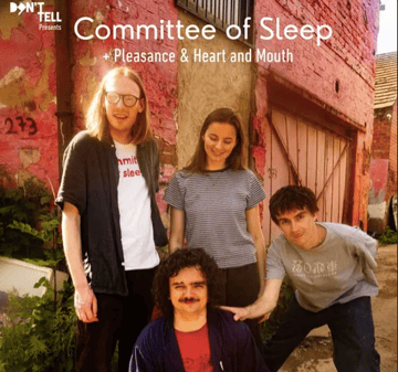 Committee of Sleep