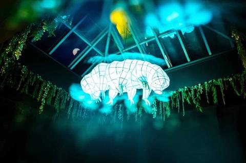 WaterBear MusicBar