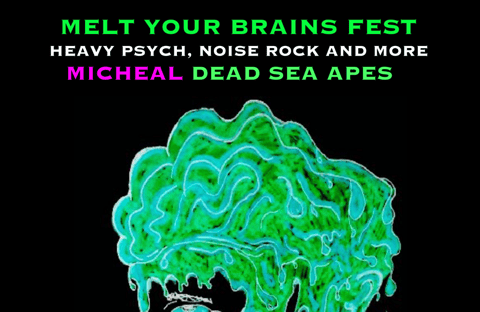 MELT YOUR BRAINS FEST