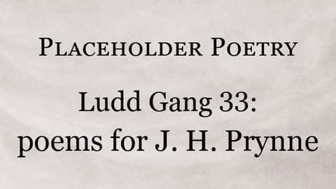 Placeholder &#8211; Ludd Gang 33