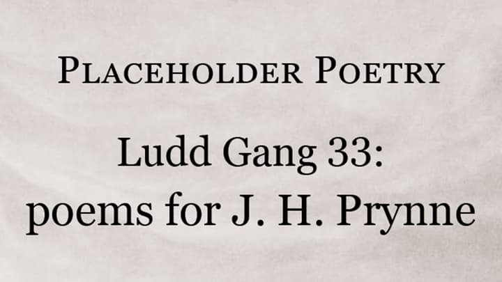 Placeholder &#8211; Ludd Gang 33