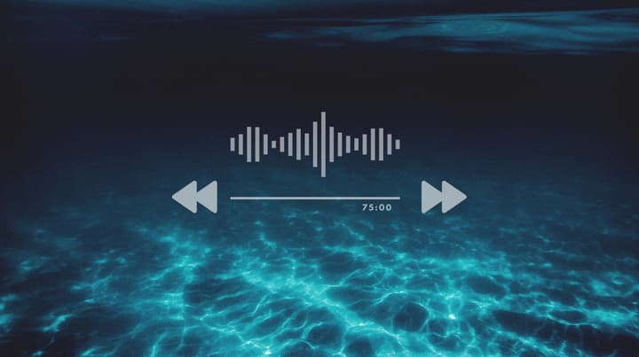The Deep Listen