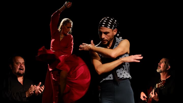 Flamenco Express 30th Anniversary Tour