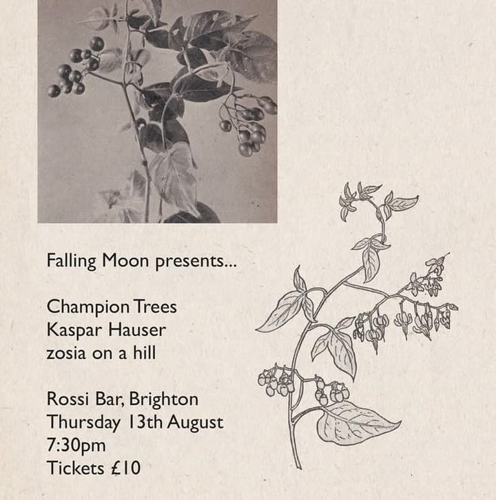 Champion Trees