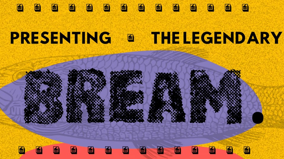 BREAM. + The Attic + The Willis Ordeal