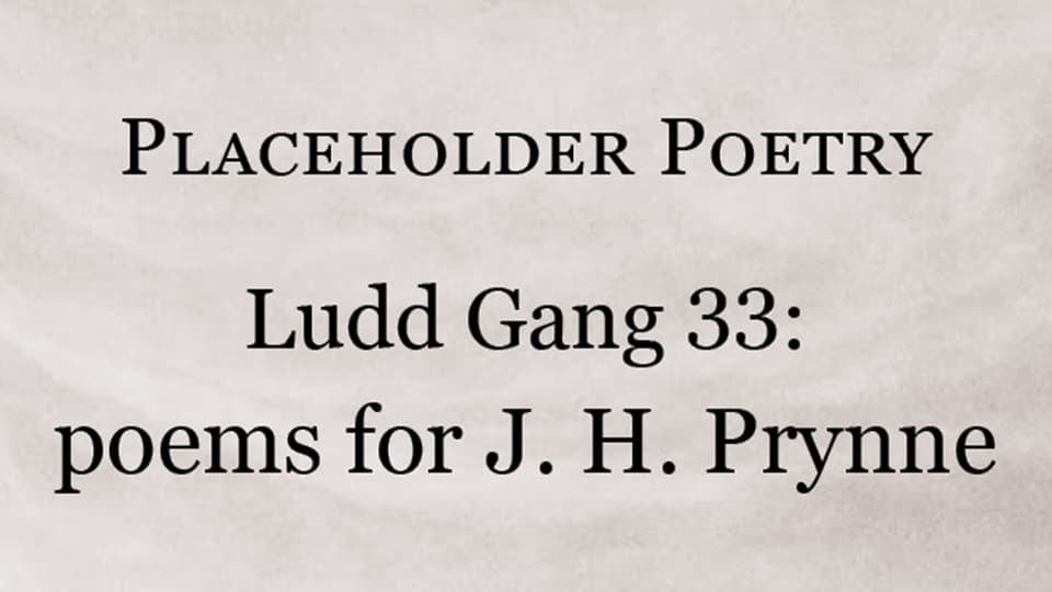 Placeholder &#8211; Ludd Gang 33