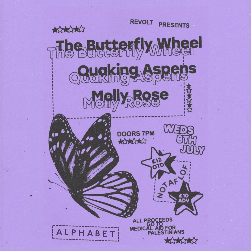 THE BUTTERFLY WHEEL